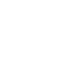 256x256 Free White Chewbacca Icon