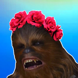 250x250 Chewbacca Icon Tumblr