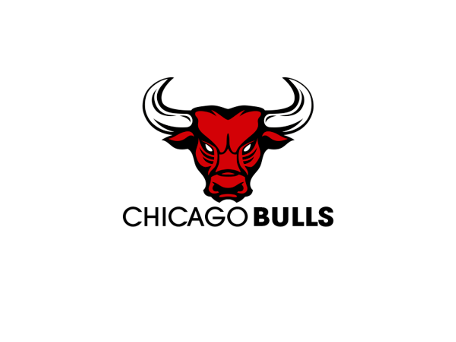 1600x1200 Chicago Bulls Hd Logo Png Images