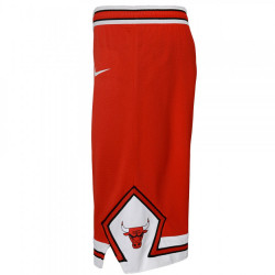 250x250 Buy Junior Chicago Bulls Nike Icon Edition Swingman Shorts