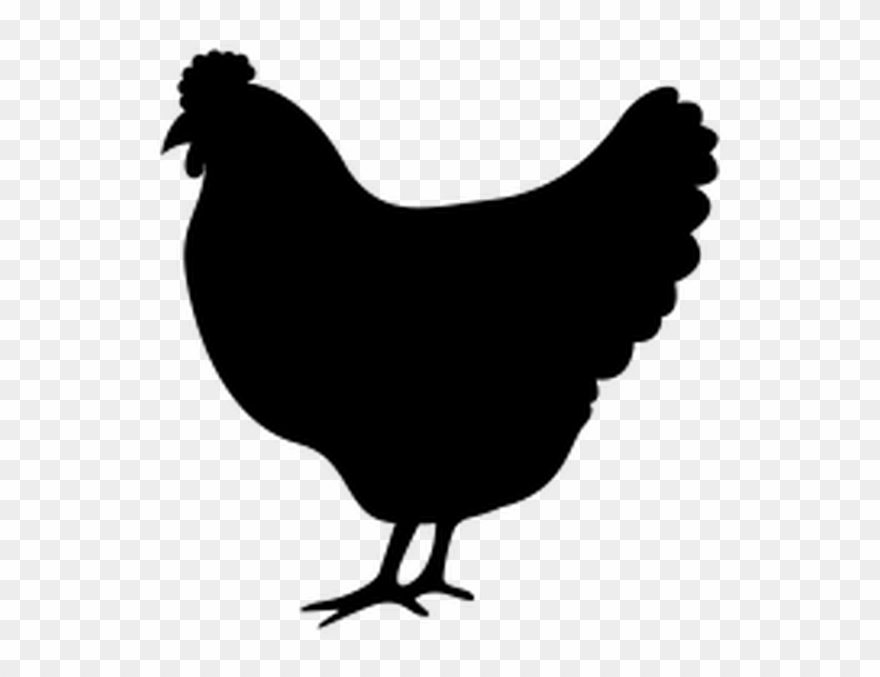 880x677 Chicken Icon Clipart