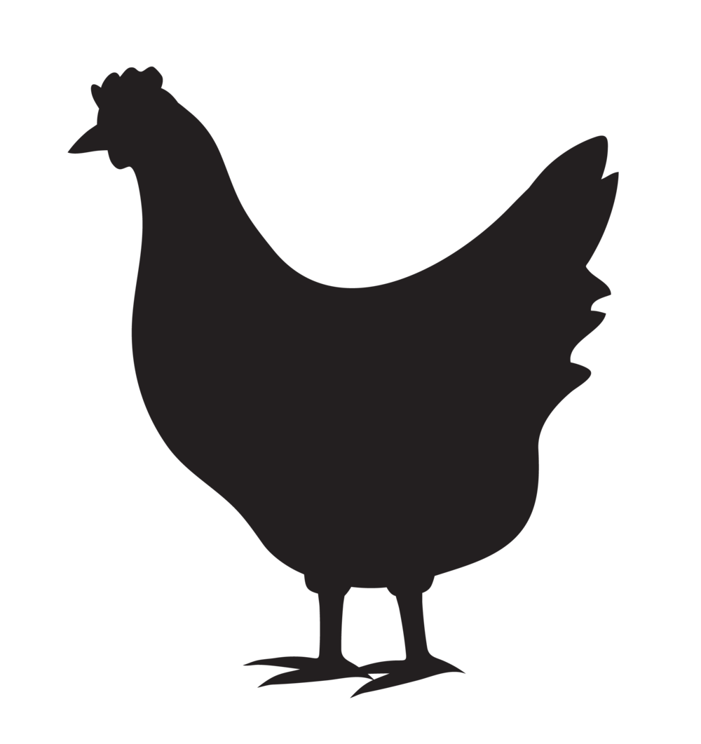 1000x1061 Chicken Icon Pipeline Foods