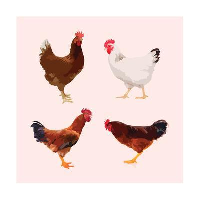 400x400 Chicken Icon Chicken Icon Art Chicken Icon Chicken