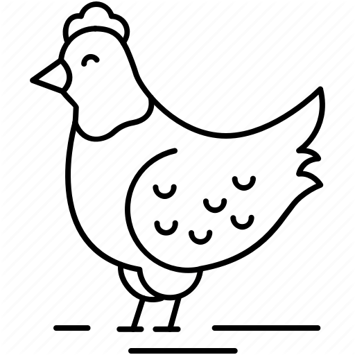 512x512 Chicken Icon