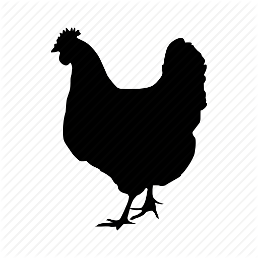 512x512 Chicken, Egg, Food Icon
