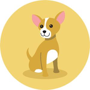 Chihuahua Icon