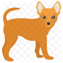 256x256 Chihuahua Icon Of Flat Style