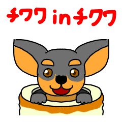 240x240 Chihuahua In Chikuwa Line Stickers Line Store