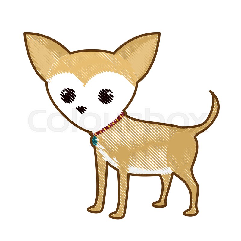 800x800 Cute Chihuahua Dog Icon Over White Stock Vector Colourbox