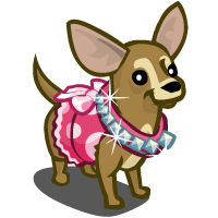 200x200 Fashionable Chihuahua Farmville Wiki Fandom Powered