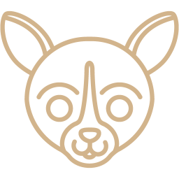 256x256 Free Tan Chihuahua Icon