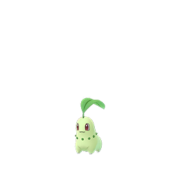 Chikorita Go Wiki Fandom Powered 256x256 Chikorita Go Wiki Fandom Powered