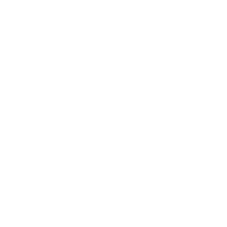 256x256 White Chip Icon