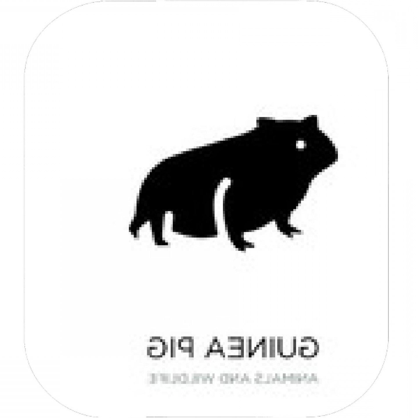 1440x1440 Chipmunk Icon Vector On White Background Chipmunk Trendy Filled