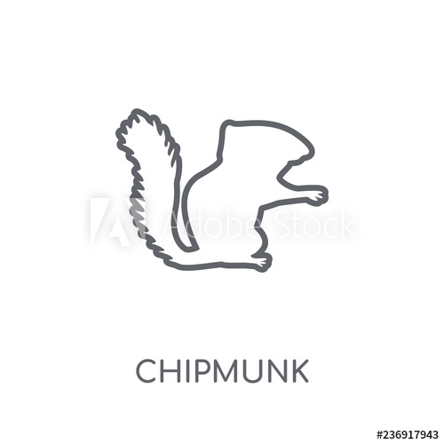 500x500 Chipmunk Linear Icon Modern Outline Chipmunk Logo Concept