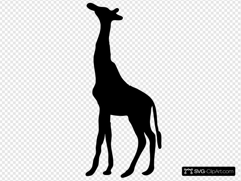 800x600 Contour Chipmunk Clip Art, Icon