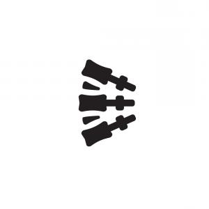 300x300 Chiropractic Black Concept Icon Vector Hoodamathrun