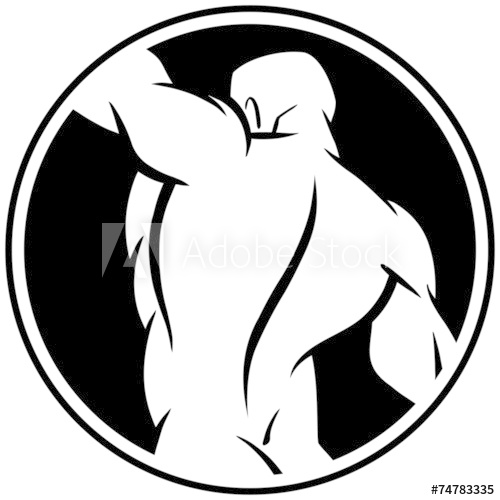 500x500 Chiropractor Icon