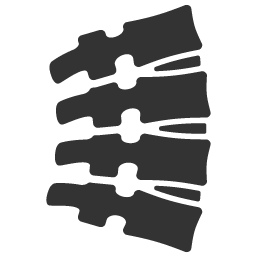 256x256 Chiropractic Icon