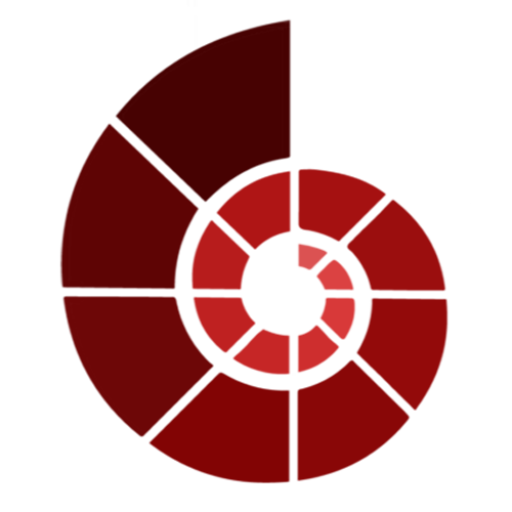 512x512 Cropped Logo Logical Choice Icon Logical Choice