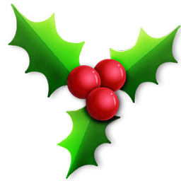 256x256 Christmas Holly Icon, Png Clipart Image