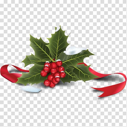 512x512 Common Holly Santa Claus Computer Icons Christmas, Holly Icon