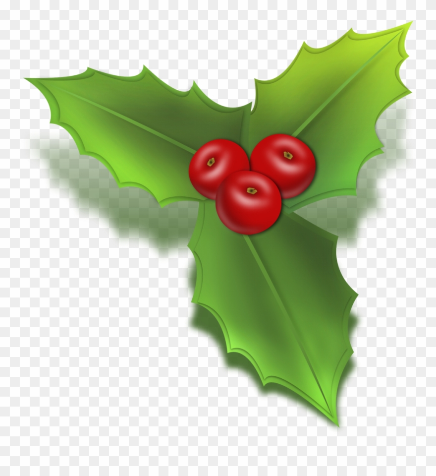 880x960 Free Christmas Holly Clip Art