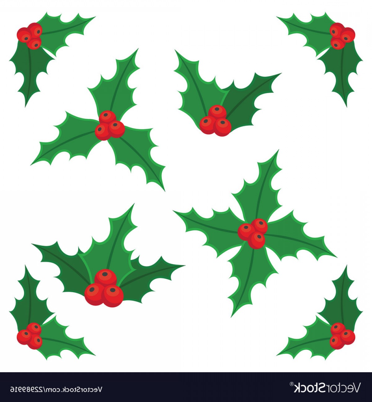 1200x1296 Christmas Holly Berry Icon Collection Vector Soidergi