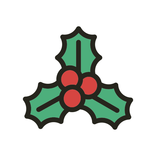 512x512 Christmas, Holidays, Mistletoe Icon