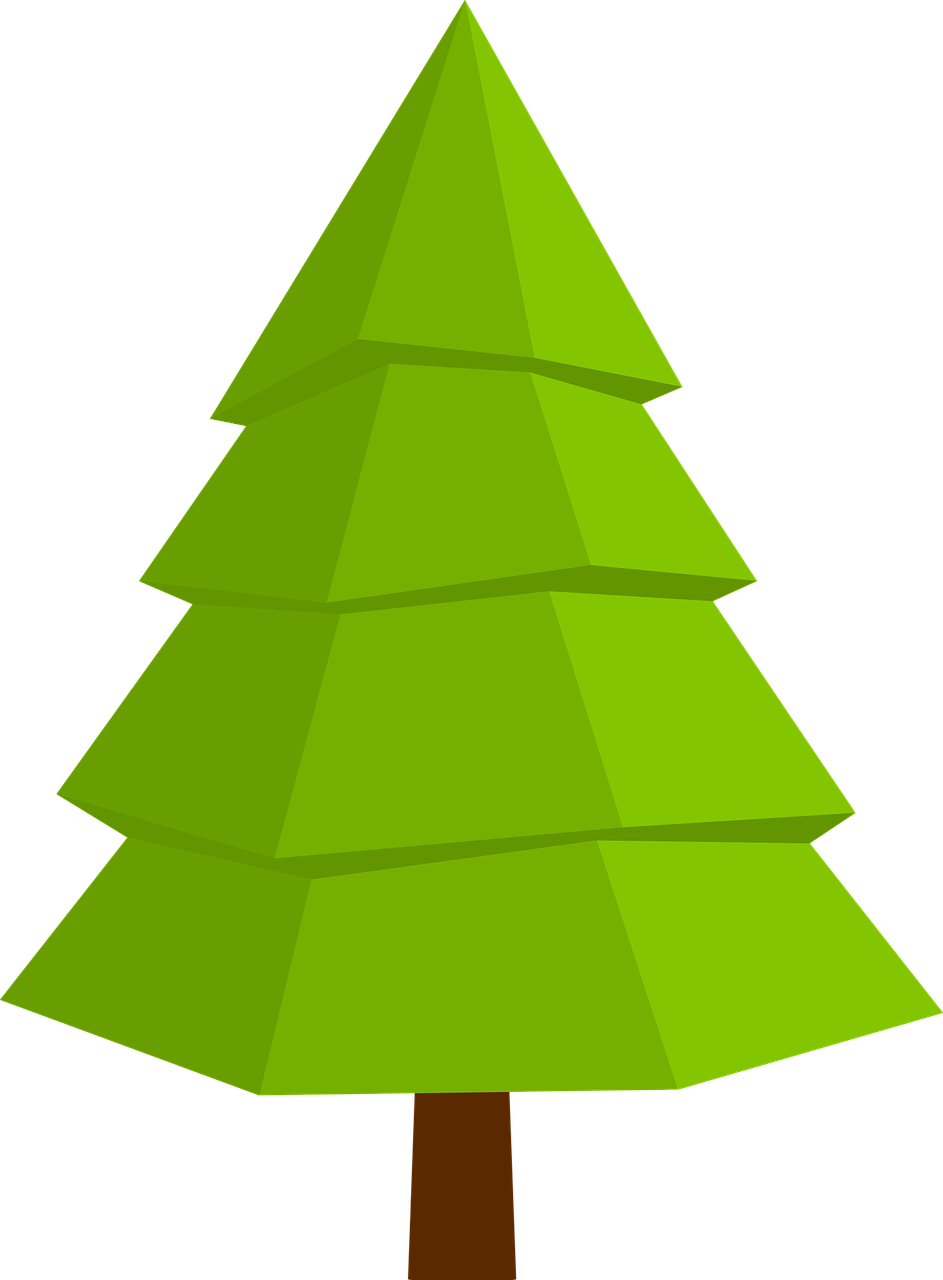 943x1280 Fir, Christmas Tree, Tree, Christmas, Icon