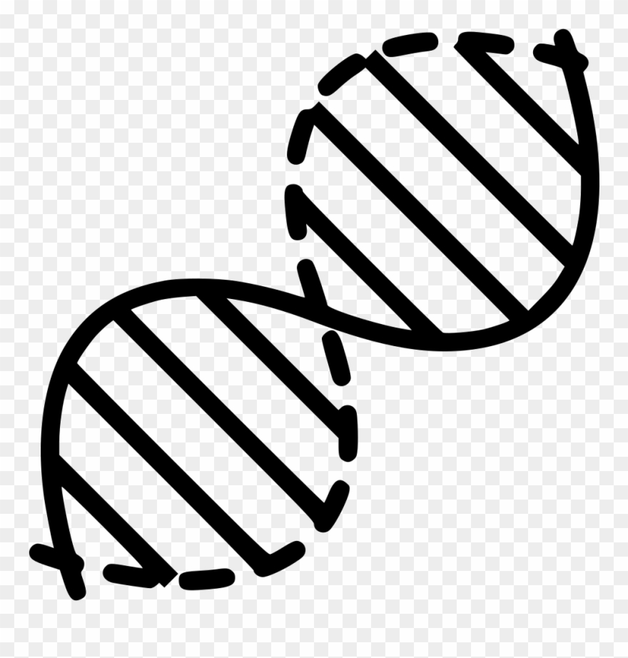 880x922 Png Icon Free