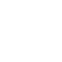 256x256 Free White Google Chrome Icon