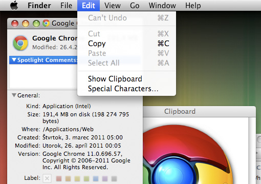 Chrome Icon File