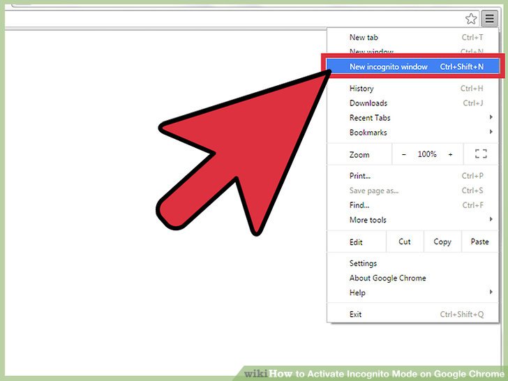 Chrome Incognito Icon