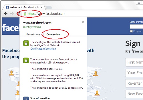 500x351 Visiting A Https Web Site With Chrome