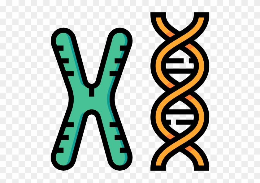 Chromosome Icon