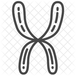 256x256 Chromosome Icon Of Line Style
