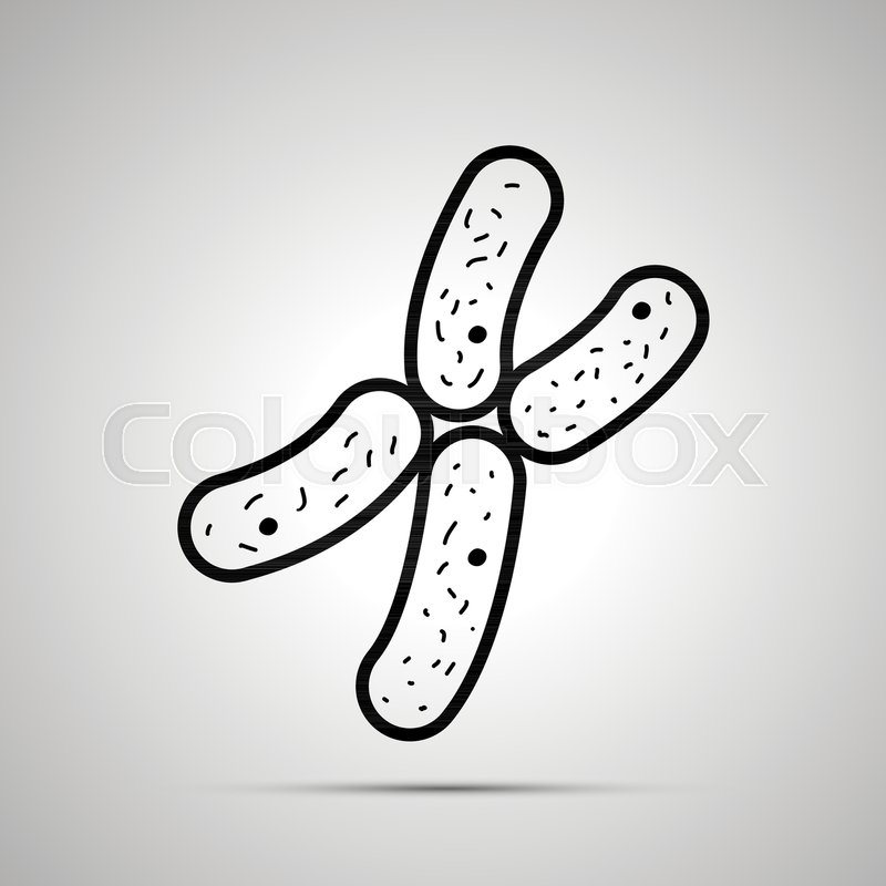 800x800 Chromosome Simple Black Icon With Stock Vector Colourbox