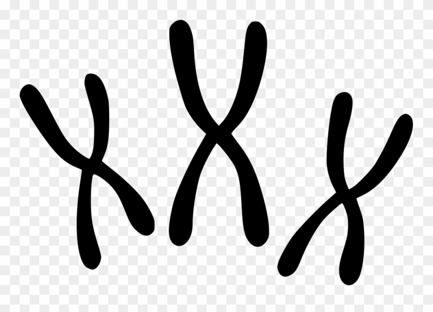 880x635 Chromosomes Comments