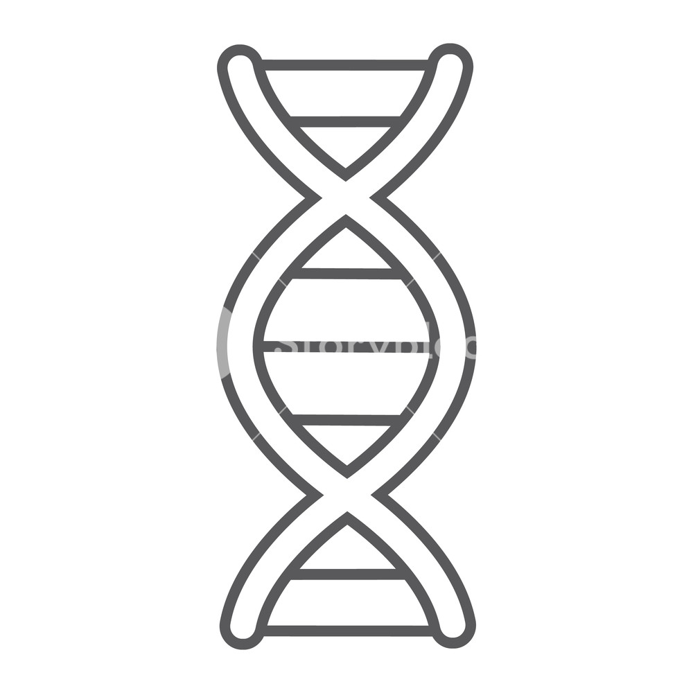 1000x1000 Dna Thin Line Icon, Chromosome And Biology, Genetic Sign, Vector