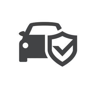 300x300 Safe Shopping Icon