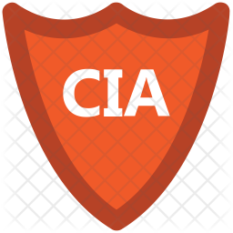 256x256 Cia Icon Of Colored Outline Style