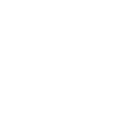 256x256 Free White Circuit Icon