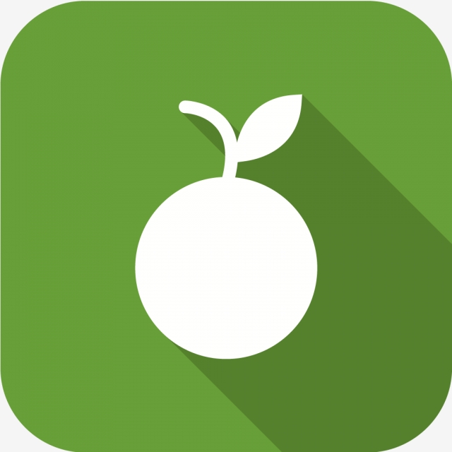 640x640 Vector Orange Icon, Citrus Icon, Fruit Icon, Healthy Icon Png