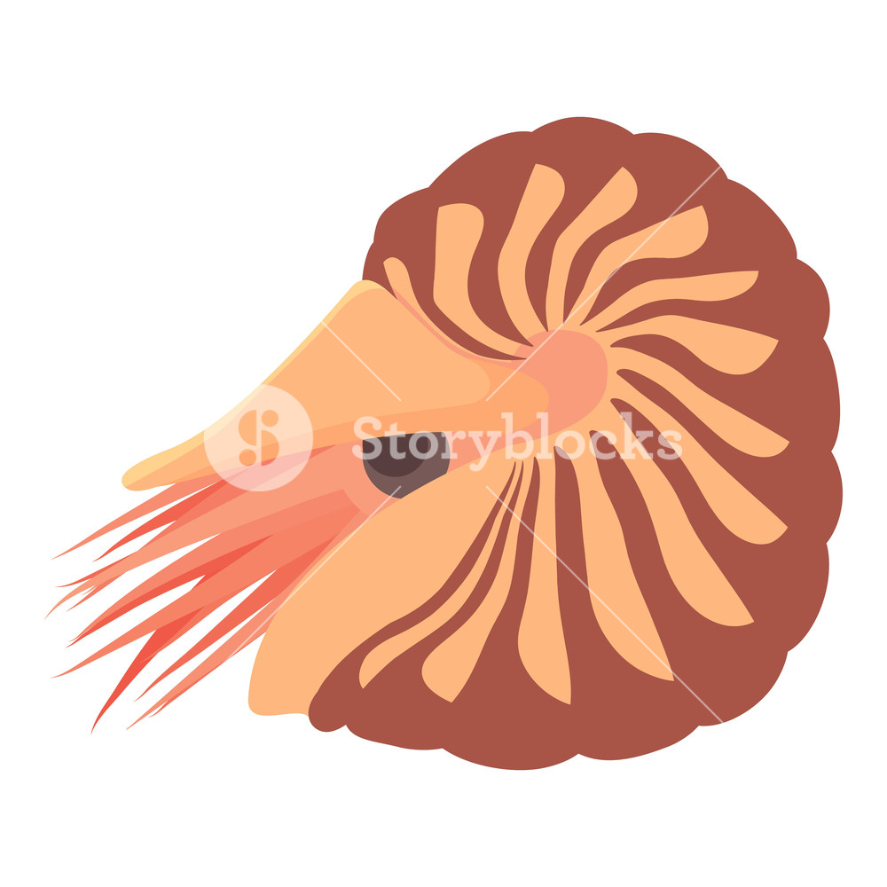1000x1000 Clam Icon Cartoon Illustration Of Clam Vector Icon For Web