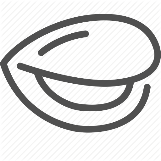 512x512 Clam, Conch, Eat, Food, Oyster, Sea, Shell Icon