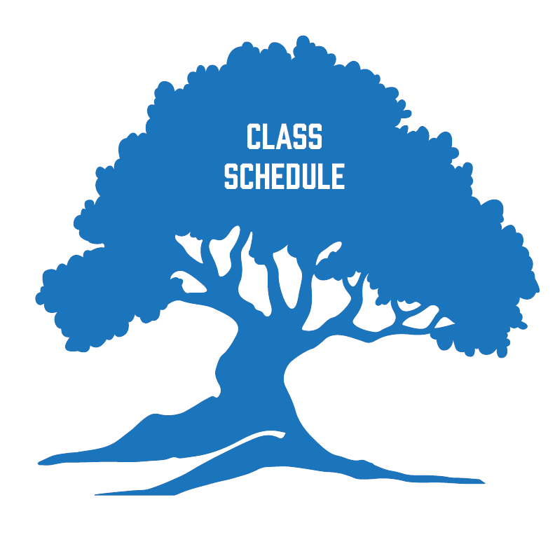 792x777 Class Schedule Tree Icon