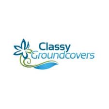 225x225 Affiliate Program Icon Classy Icon