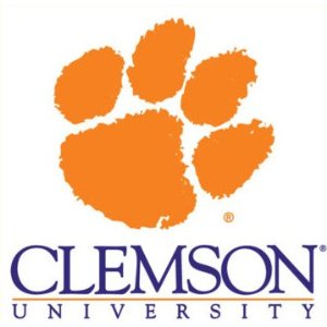 Clemson Icon
