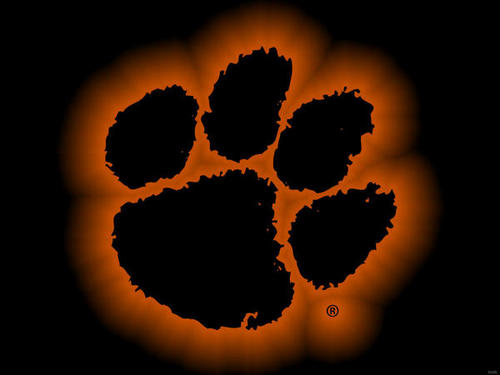 500x375 Clemson Paw In A Palm Tree